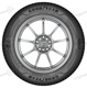 205/55 R16 91V Vector 4Seasons GEN-3 M+S Vector 4Seasons GEN-3 M+S Goodyear 205/55 R16 91V Vector 4Seasons GEN-3 M+S