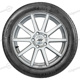 205/55 R16 91V SportContact 2 AO FR ML SportContact 2 AO FR ML Continental 205/55 R16 91V SportContact 2 AO FR ML