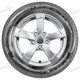 205/55 R16 94V Vector 4Seasons XL VW M+S Vector 4Seasons XL VW M+S Goodyear 205/55 R16 94V Vector 4Seasons XL VW M+S