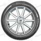 205/55 R16 91H W 210 Snowcontrol 3 Ecoimpact M+S W 210 Snowcontrol 3 Ecoimpact M+S Pirelli 205/55 R16 91H W 210 Snowcontrol 3 Ecoimpact M+S