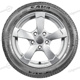 155/70 R13 75T Perfecta Perfecta Sava 155/70 R13 75T Perfecta